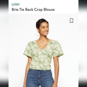 NWOT Lush Brie Tie Back Crop Blouse from Stitch Fix